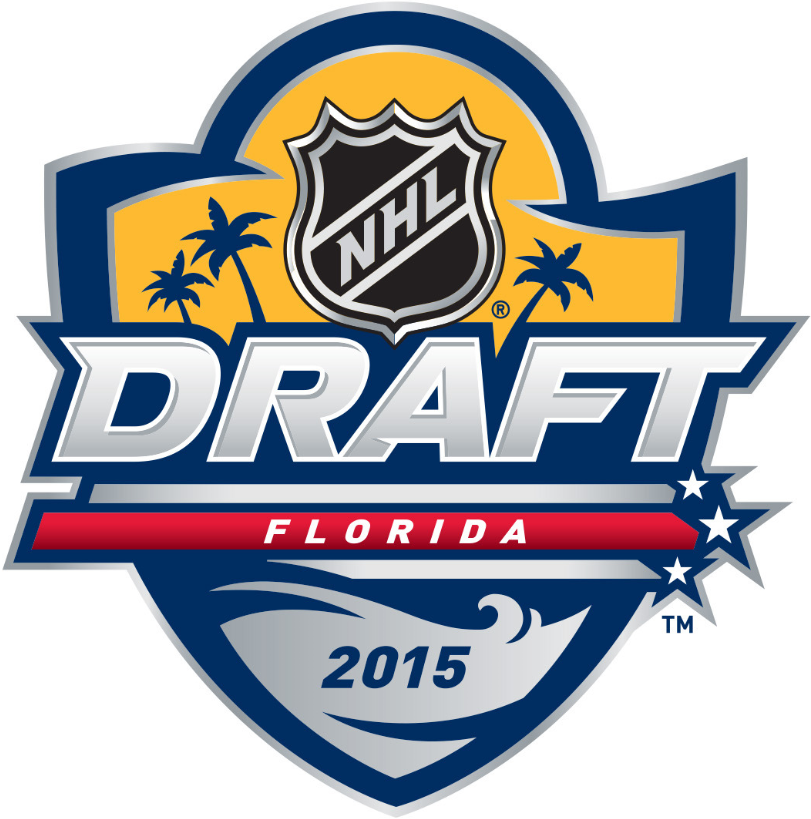 NHL Draft 2015 Primary Logo iron on heat transfer